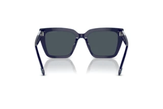 Bagside Swarovski SK6013 (101887)