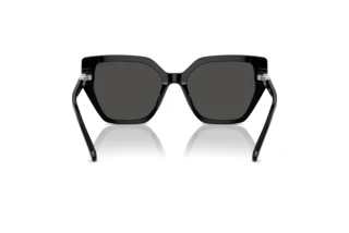 Bagside Swarovski SK6016 (100187)