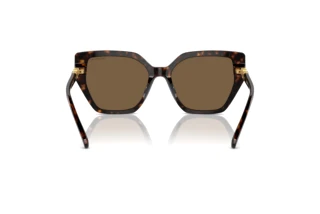 Bagside Swarovski SK6016 (100273)