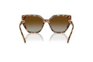 Bagside Swarovski SK6016 (1004T5)