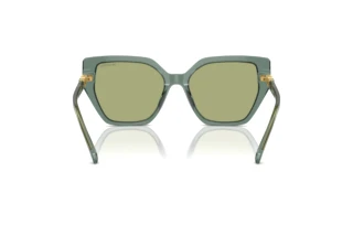 Bagside Swarovski SK6016 (104382)