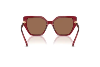 Bagside Swarovski SK6016 (105573)