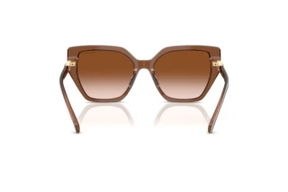 Bagside Swarovski SK6016 (106713)