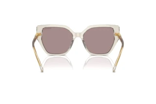 Bagside Swarovski SK6016 (3003LA)