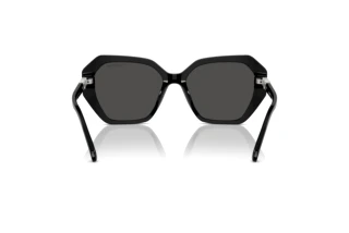 Bagside Swarovski SK6017 (100187)