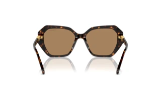 Bagside Swarovski SK6017 (1002M4)