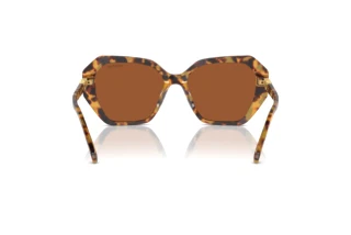 Bagside Swarovski SK6017 (100473)