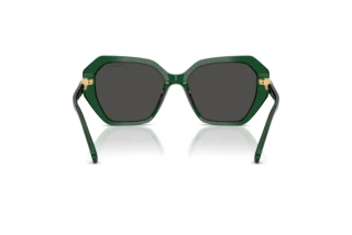 Bagside Swarovski SK6017 (104587)