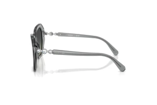 Sidevisning Swarovski SK6017 (106211)