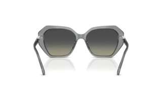 Bagside Swarovski SK6017 (106211)