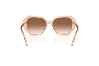 Bagside Swarovski SK6017 (106313)