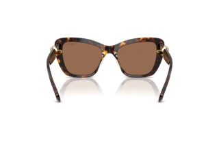 Bagside Swarovski SK6018 (100273)
