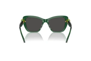 Bagside Swarovski SK6018 (104587)