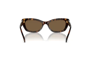 Bagside Swarovski SK6019 (100273)