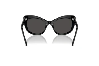 Bagside Swarovski SK6020 (100187)
