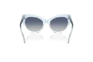 Bagside Swarovski SK6020 (10474L)