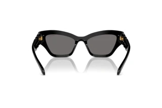 Bagside Swarovski SK6021 (100181)