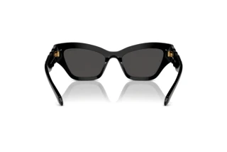 Bagside Swarovski SK6021 (100187)