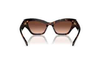 Bagside Swarovski SK6021 (10023B)