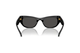 Bagside Swarovski SK6022 (100187)