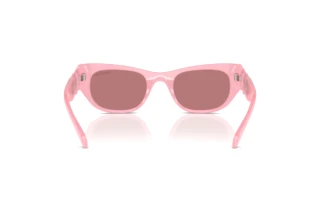 Bagside Swarovski SK6022 (2001E4)