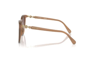 Sidevisning Swarovski SK6023D (200213)