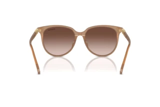 Bagside Swarovski SK6023D (200213)