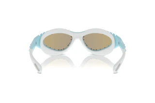 Bagside Swarovski SK6024 (105255)