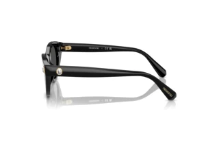 Sidevisning Swarovski SK6025 (100187)