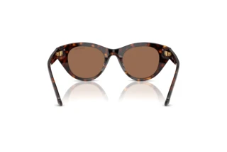 Bagside Swarovski SK6025 (100273)