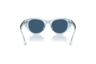 Bagside Swarovski SK6025 (106555)