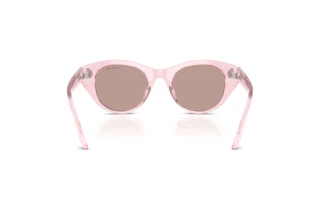 Bagside Swarovski SK6025 (30017N)