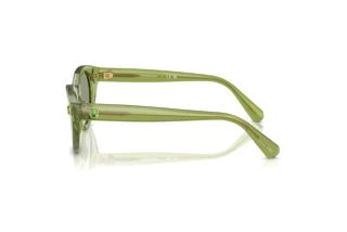 Sidevisning Swarovski SK6025 (3002/2)