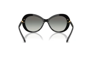 Bagside Swarovski SK6026 (100111)