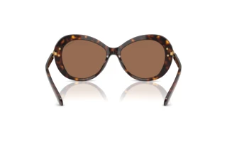 Bagside Swarovski SK6026 (100273)