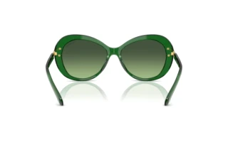 Bagside Swarovski SK6026 (10642A)