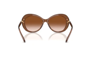 Bagside Swarovski SK6026 (106713)