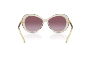 Bagside Swarovski SK6026 (30038H)