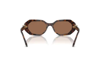 Bagside Swarovski SK6028 (100273)