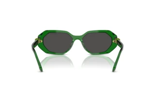 Bagside Swarovski SK6028 (106487)