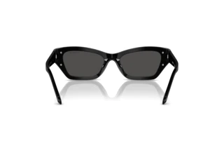 Bagside Swarovski SK6029 (100187)