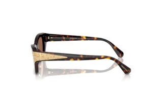 Sidevisning Swarovski SK6029 (100273)