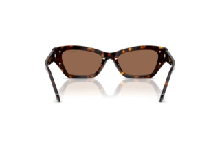 Bagside Swarovski SK6029 (100273)