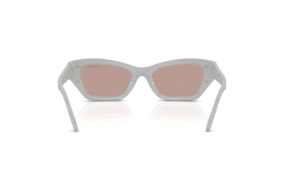 Bagside Swarovski SK6029 (10317N)