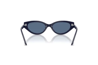 Bagside Swarovski SK6030 (100455)