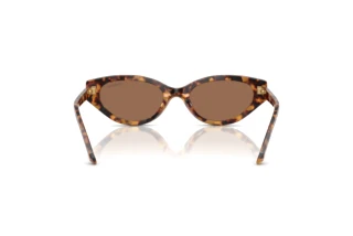 Bagside Swarovski SK6030 (104073)