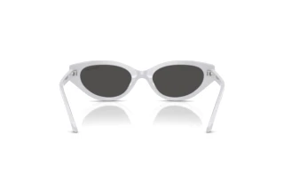 Bagside Swarovski SK6030 (106087)