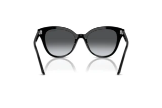 Bagside Swarovski SK6031 (1001T3)