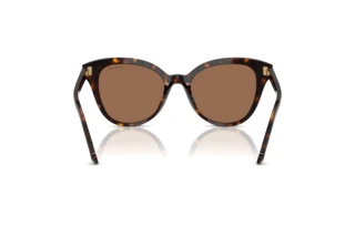 Bagside Swarovski SK6031 (100273)