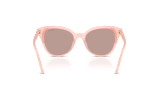 Bagside Swarovski SK6031 (10317N)